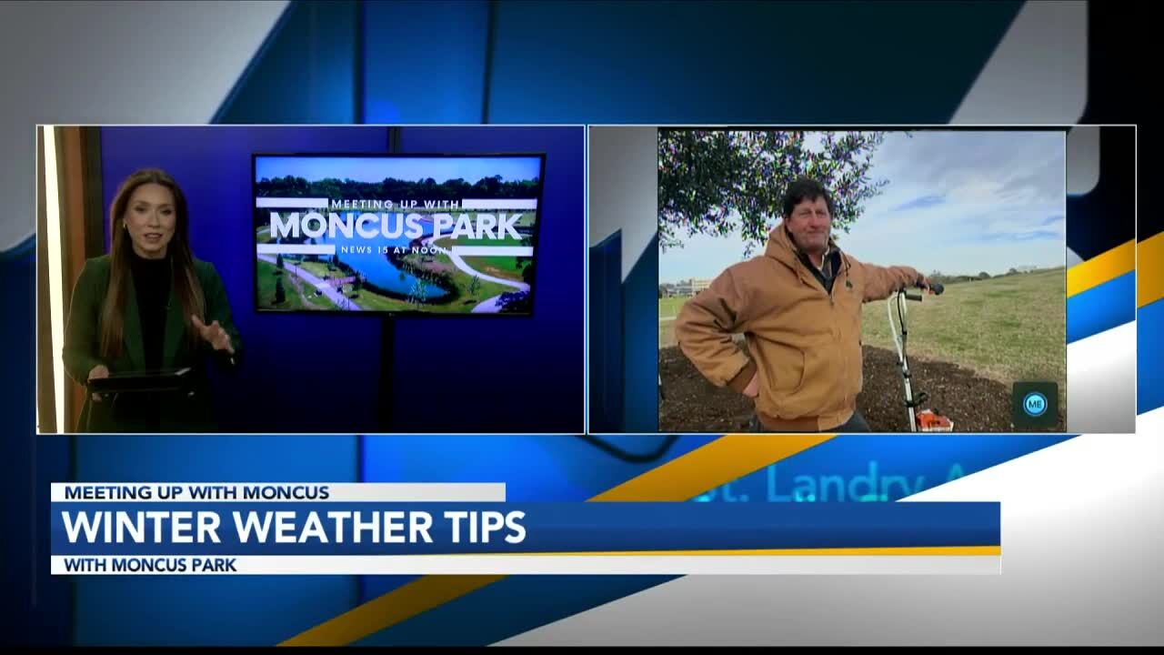 Winter Weather Plant Tips with Moncus Park’s Grounds Director Mark Hernandez
